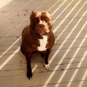 Meet your Posher, Tamira